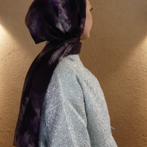 683f34742c66c 20925 1
